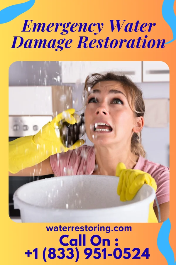 Emergency Water Damage Restoration in Tioga Terrace, NY