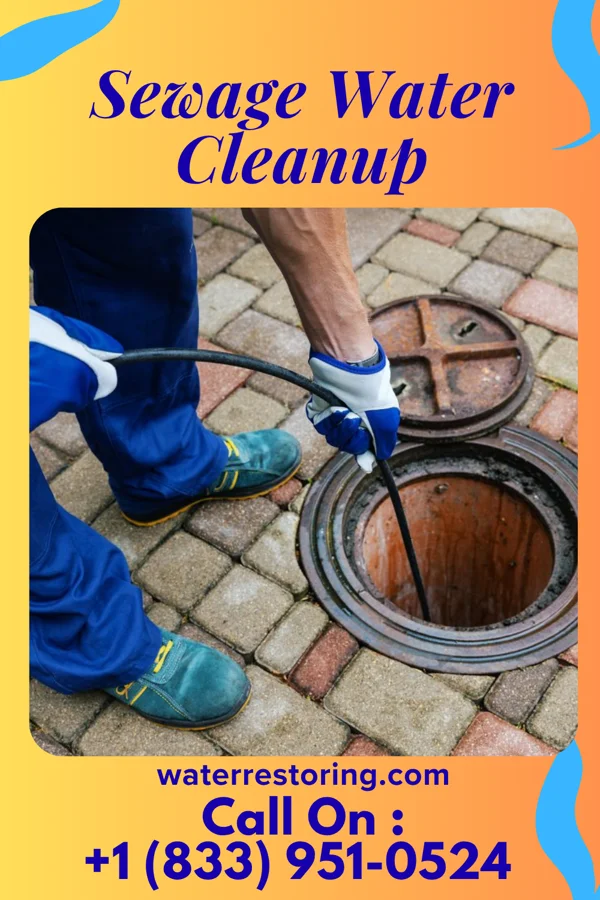 Sewage Water Cleanup in Tioga Terrace, NY