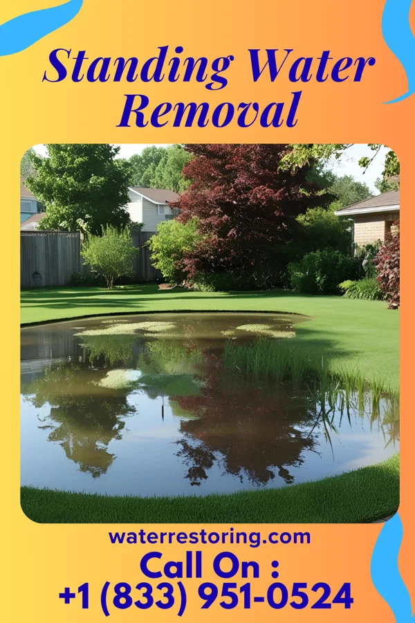 Standing Water Removal in Tioga Terrace, NY